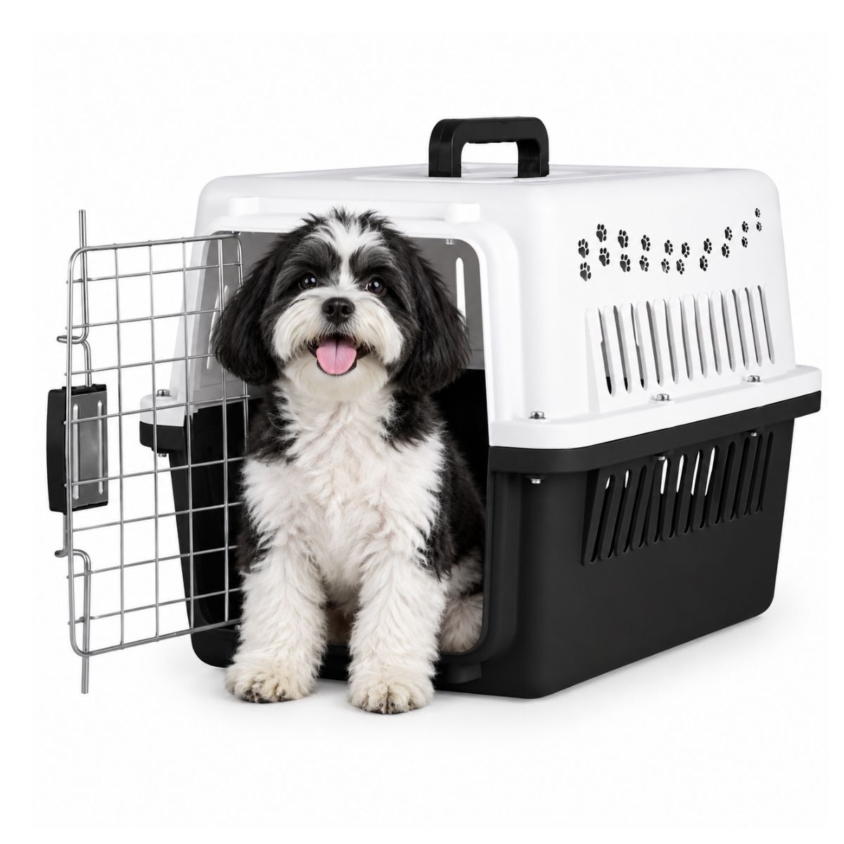 Jaula Transportadora Mascota Mediana Perro Gato Viaje Blick